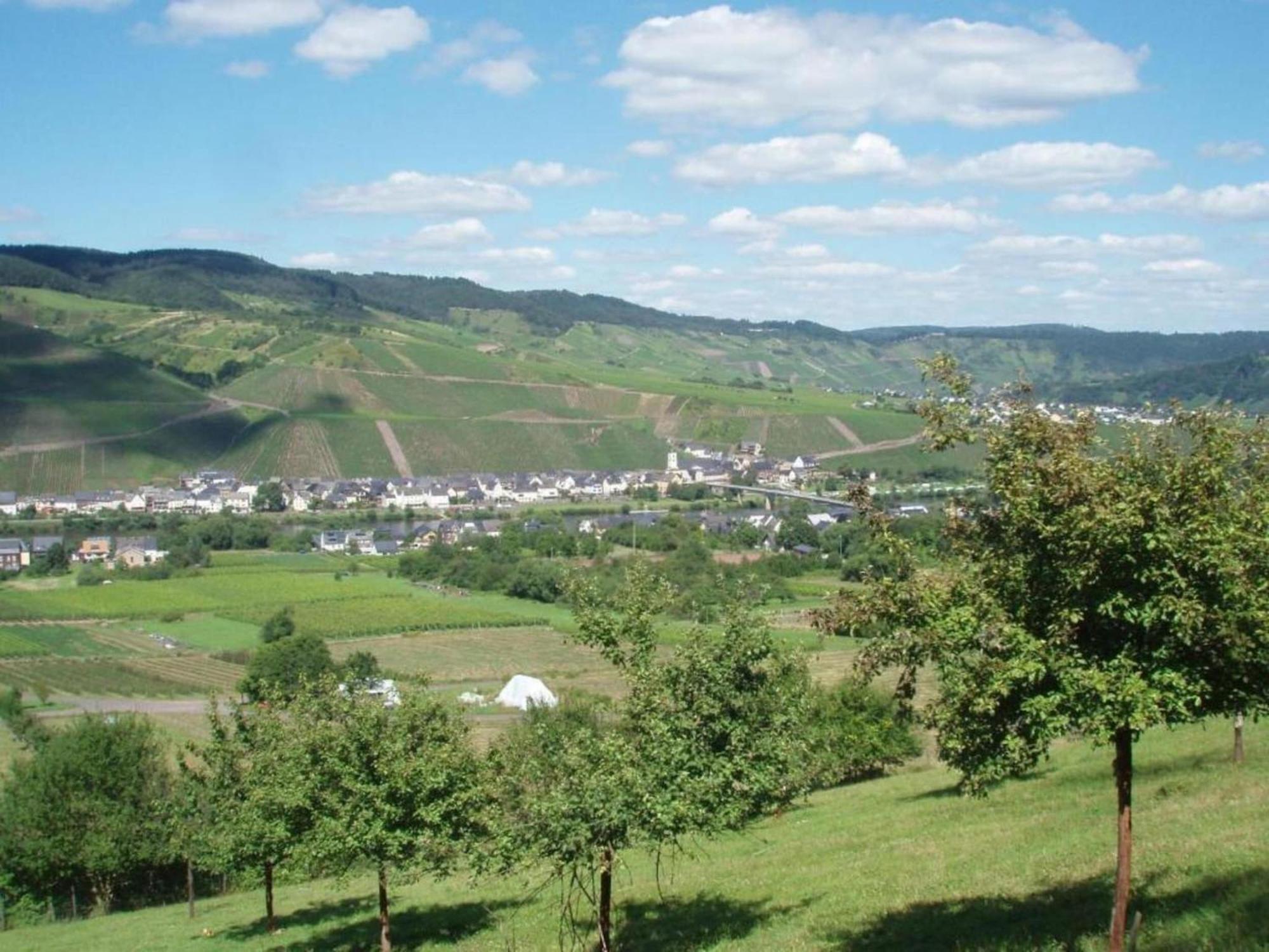 Sch Ne Wohnung In Der Moselregion Kinheim Eksteriør billede